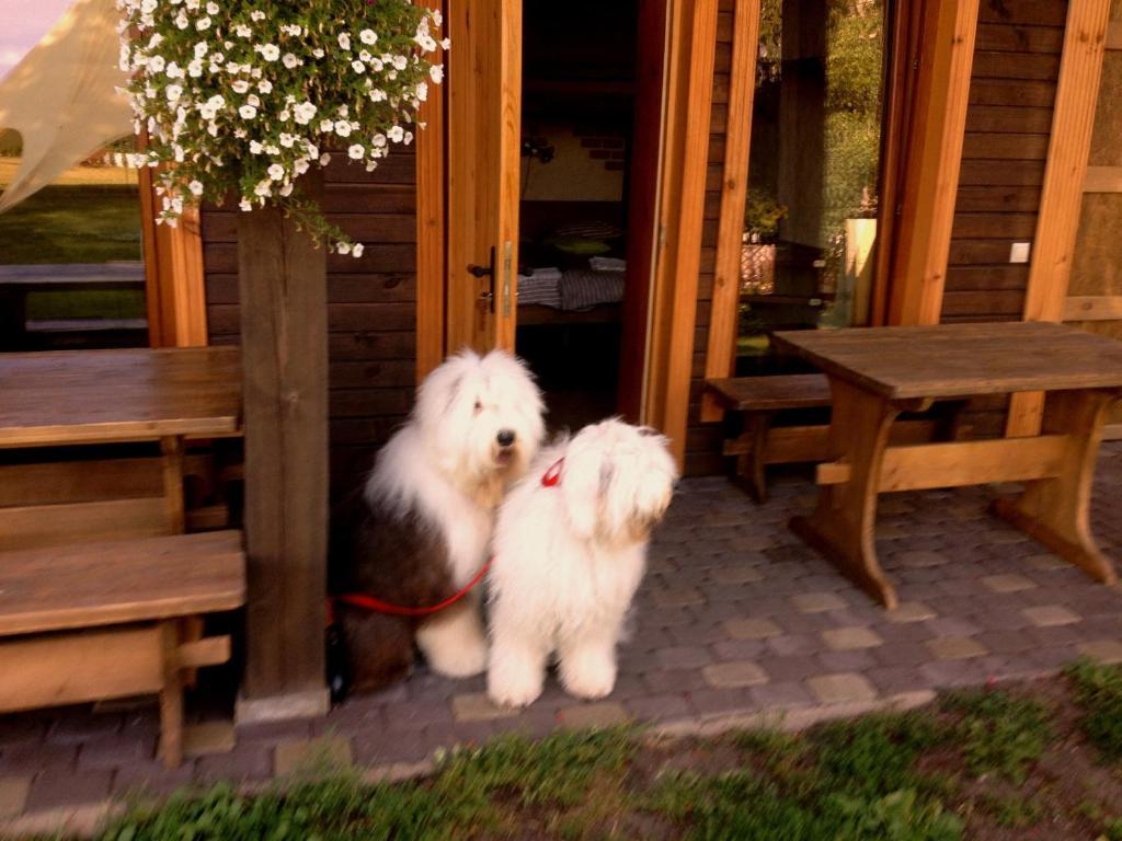 Guest House And Camping Jūrkalne 외부 사진